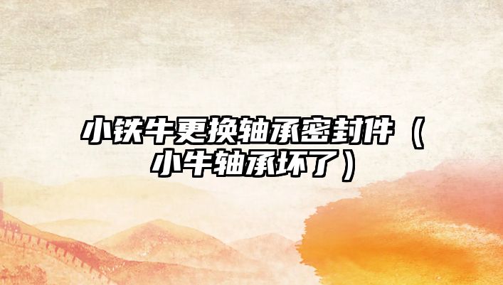 小鐵牛更換軸承密封件（小牛軸承壞了）