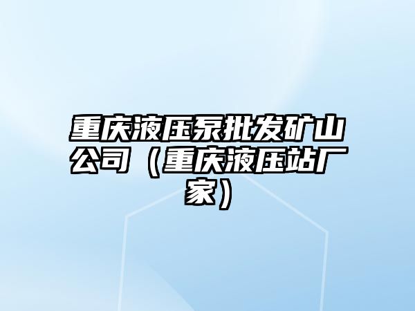 重慶液壓泵批發(fā)礦山公司（重慶液壓站廠家）