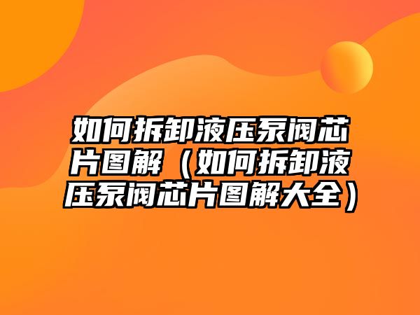 如何拆卸液壓泵閥芯片圖解（如何拆卸液壓泵閥芯片圖解大全）