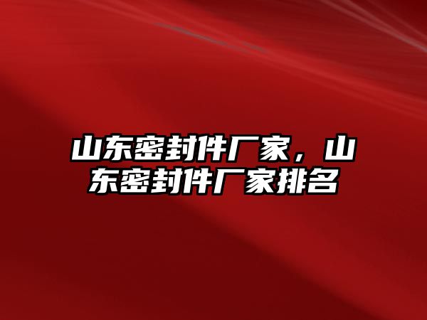 山東密封件廠家，山東密封件廠家排名