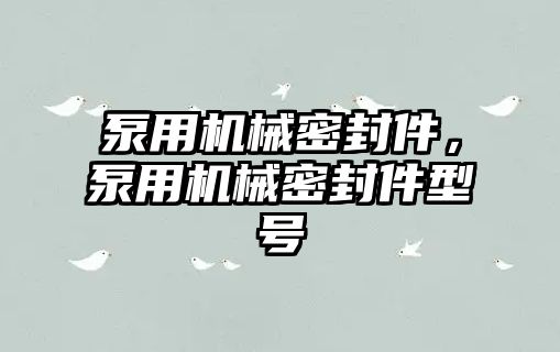 泵用機械密封件，泵用機械密封件型號