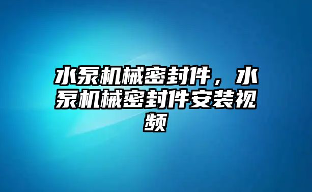 水泵機械密封件，水泵機械密封件安裝視頻