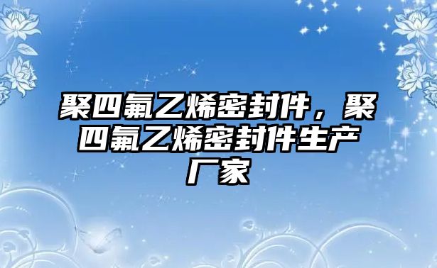 聚四氟乙烯密封件，聚四氟乙烯密封件生產(chǎn)廠家