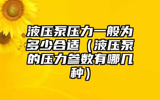 液壓泵壓力一般為多少合適（液壓泵的壓力參數(shù)有哪幾種）