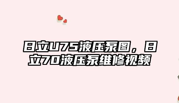 日立U75液壓泵圖，日立70液壓泵維修視頻