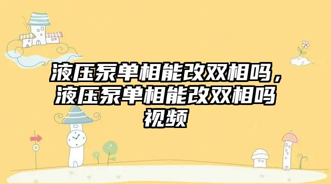 液壓泵單相能改雙相嗎，液壓泵單相能改雙相嗎視頻