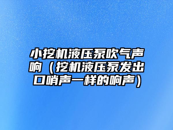 小挖機液壓泵吹氣聲響（挖機液壓泵發(fā)出口哨聲一樣的響聲）