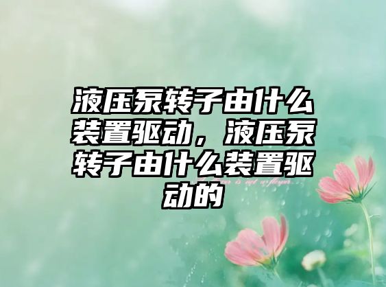 液壓泵轉(zhuǎn)子由什么裝置驅(qū)動，液壓泵轉(zhuǎn)子由什么裝置驅(qū)動的