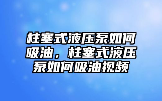 柱塞式液壓泵如何吸油，柱塞式液壓泵如何吸油視頻