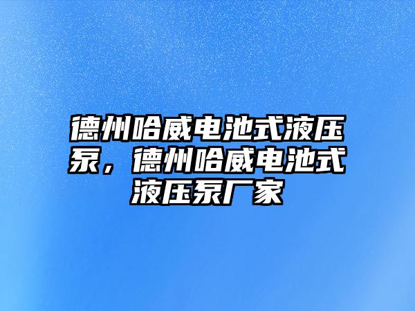 德州哈威電池式液壓泵，德州哈威電池式液壓泵廠家