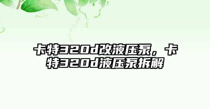 卡特320d改液壓泵，卡特320d液壓泵拆解