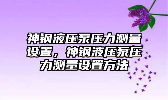 神鋼液壓泵壓力測量設(shè)置，神鋼液壓泵壓力測量設(shè)置方法