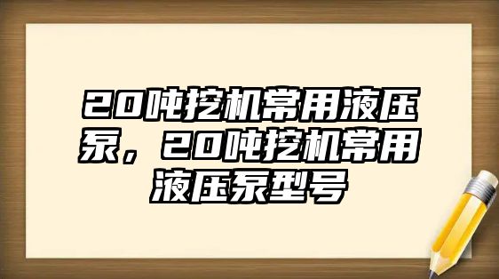 20噸挖機常用液壓泵，20噸挖機常用液壓泵型號