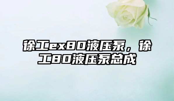 徐工ex80液壓泵，徐工80液壓泵總成