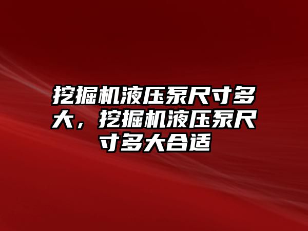 挖掘機液壓泵尺寸多大，挖掘機液壓泵尺寸多大合適