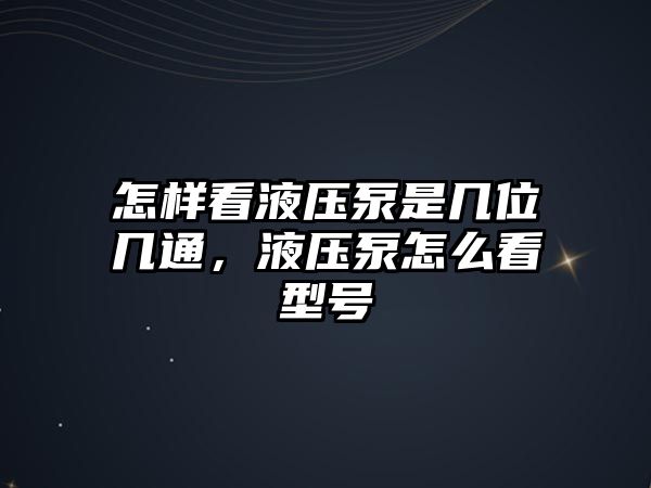 怎樣看液壓泵是幾位幾通，液壓泵怎么看型號