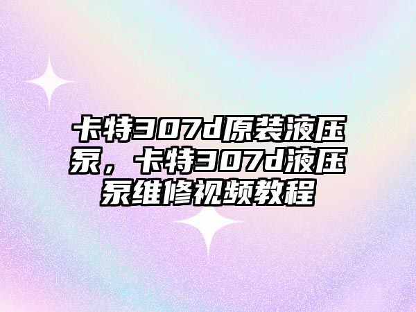 卡特307d原裝液壓泵，卡特307d液壓泵維修視頻教程