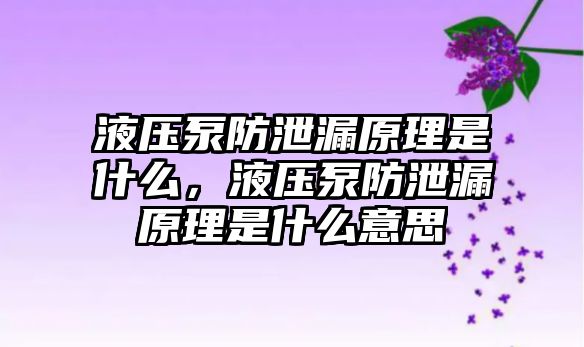 液壓泵防泄漏原理是什么，液壓泵防泄漏原理是什么意思