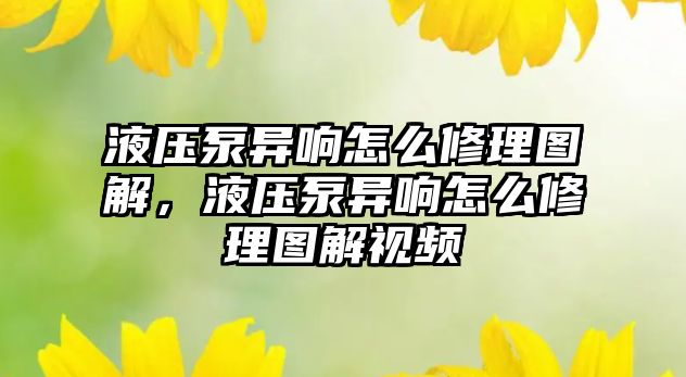 液壓泵異響怎么修理圖解，液壓泵異響怎么修理圖解視頻