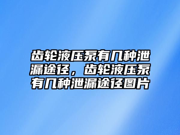 齒輪液壓泵有幾種泄漏途徑，齒輪液壓泵有幾種泄漏途徑圖片