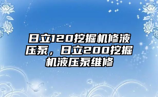 日立120挖掘機(jī)修液壓泵，日立200挖掘機(jī)液壓泵維修