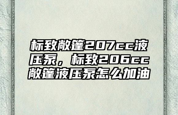 標(biāo)致敞篷207cc液壓泵，標(biāo)致206cc敞篷液壓泵怎么加油