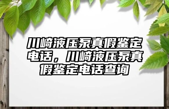 川崎液壓泵真假鑒定電話，川崎液壓泵真假鑒定電話查詢