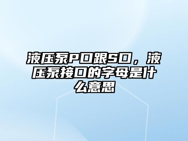 液壓泵P口跟S口，液壓泵接口的字母是什么意思