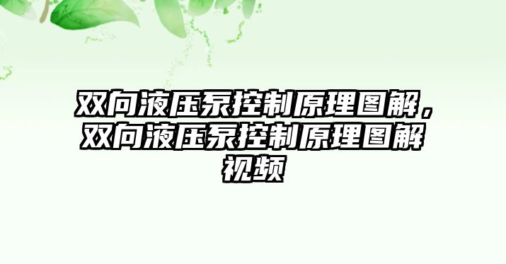 雙向液壓泵控制原理圖解，雙向液壓泵控制原理圖解視頻