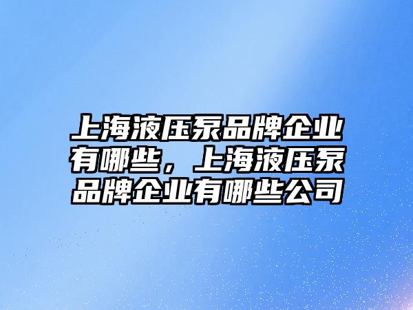 上海液壓泵品牌企業(yè)有哪些，上海液壓泵品牌企業(yè)有哪些公司