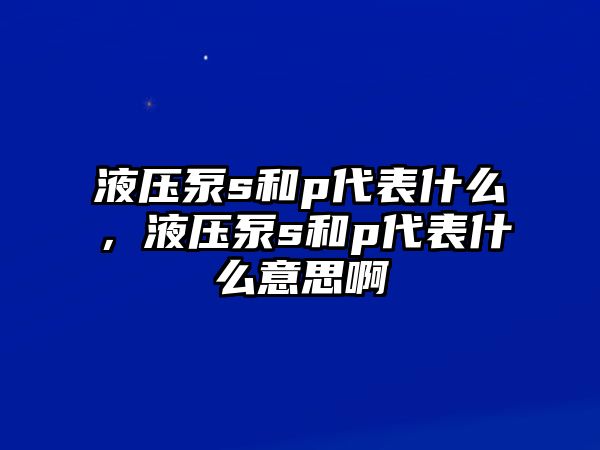 液壓泵s和p代表什么，液壓泵s和p代表什么意思啊