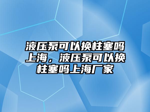 液壓泵可以換柱塞嗎上海，液壓泵可以換柱塞嗎上海廠家