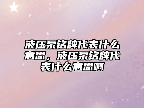 液壓泵銘牌代表什么意思，液壓泵銘牌代表什么意思啊