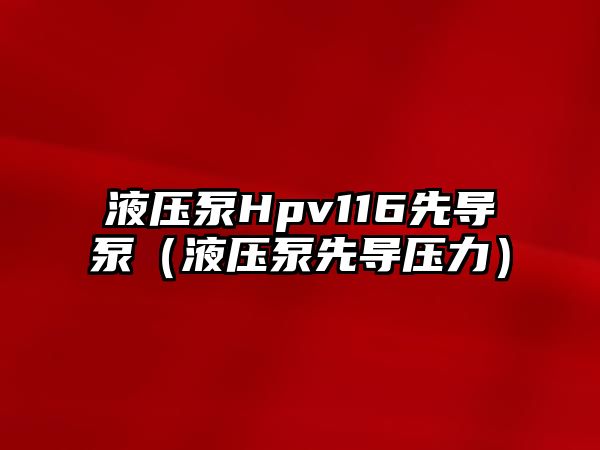 液壓泵Hpv116先導(dǎo)泵（液壓泵先導(dǎo)壓力）