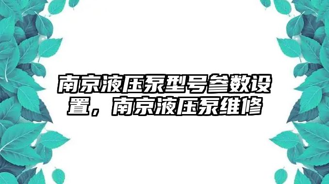 南京液壓泵型號參數(shù)設(shè)置，南京液壓泵維修