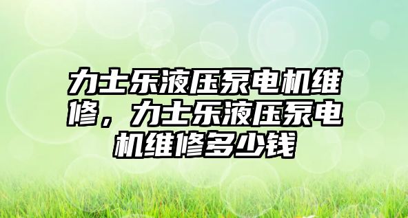 力士樂液壓泵電機維修，力士樂液壓泵電機維修多少錢