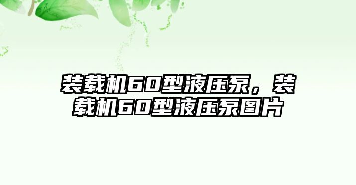 裝載機(jī)60型液壓泵，裝載機(jī)60型液壓泵圖片