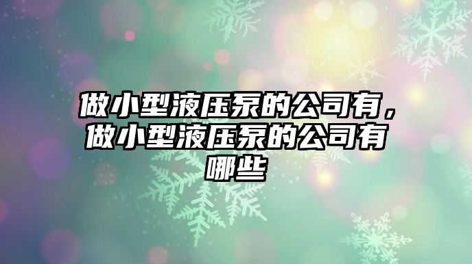 做小型液壓泵的公司有，做小型液壓泵的公司有哪些