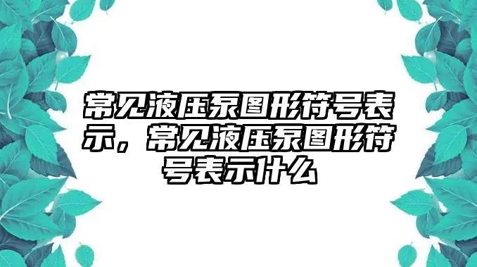 常見液壓泵圖形符號表示，常見液壓泵圖形符號表示什么