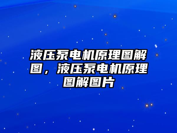 液壓泵電機原理圖解圖，液壓泵電機原理圖解圖片