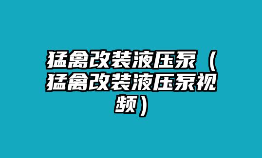 猛禽改裝液壓泵（猛禽改裝液壓泵視頻）