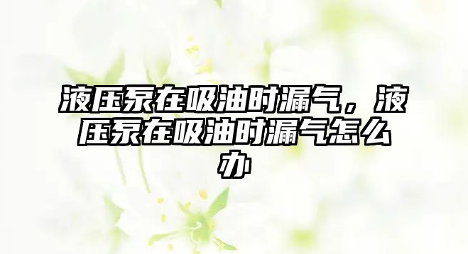 液壓泵在吸油時漏氣，液壓泵在吸油時漏氣怎么辦