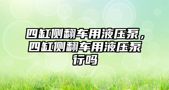 四缸側翻車用液壓泵，四缸側翻車用液壓泵行嗎