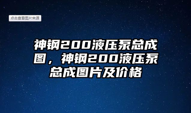 神鋼200液壓泵總成圖，神鋼200液壓泵總成圖片及價格