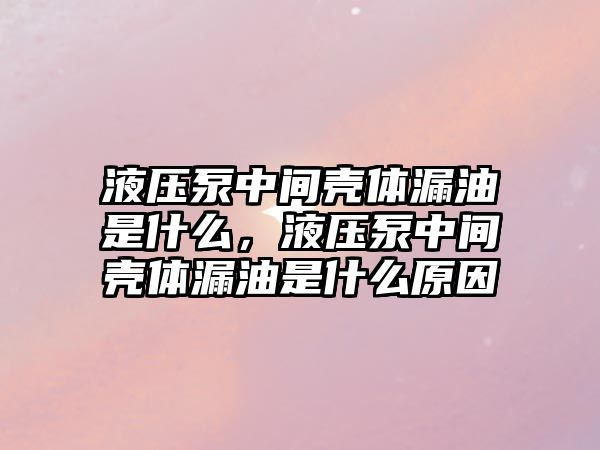 液壓泵中間殼體漏油是什么，液壓泵中間殼體漏油是什么原因