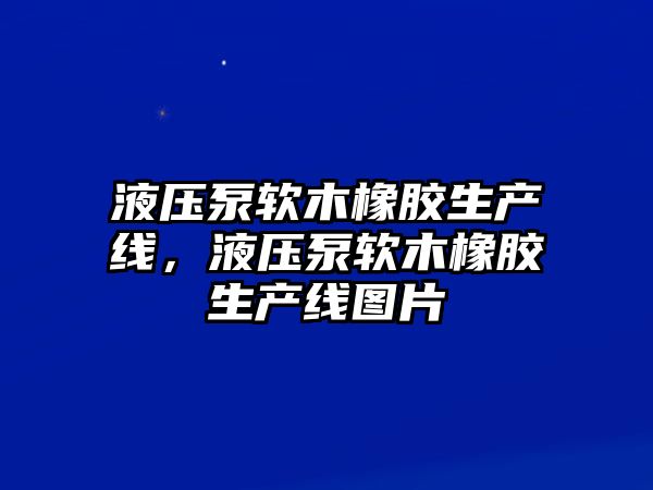 液壓泵軟木橡膠生產(chǎn)線，液壓泵軟木橡膠生產(chǎn)線圖片