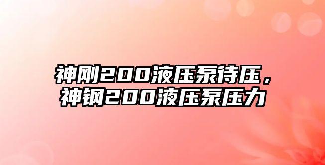 神剛200液壓泵待壓，神鋼200液壓泵壓力