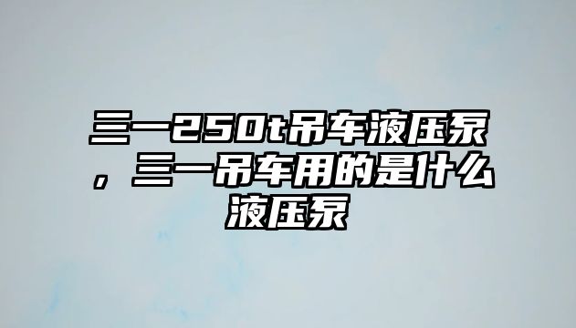 三一250t吊車液壓泵，三一吊車用的是什么液壓泵