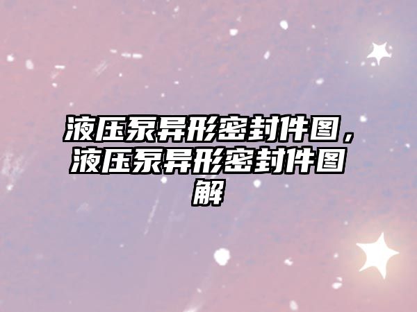 液壓泵異形密封件圖，液壓泵異形密封件圖解