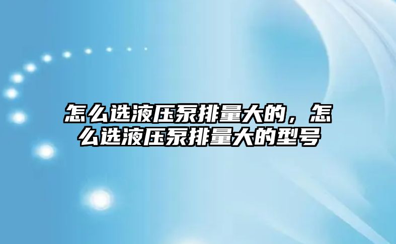 怎么選液壓泵排量大的，怎么選液壓泵排量大的型號